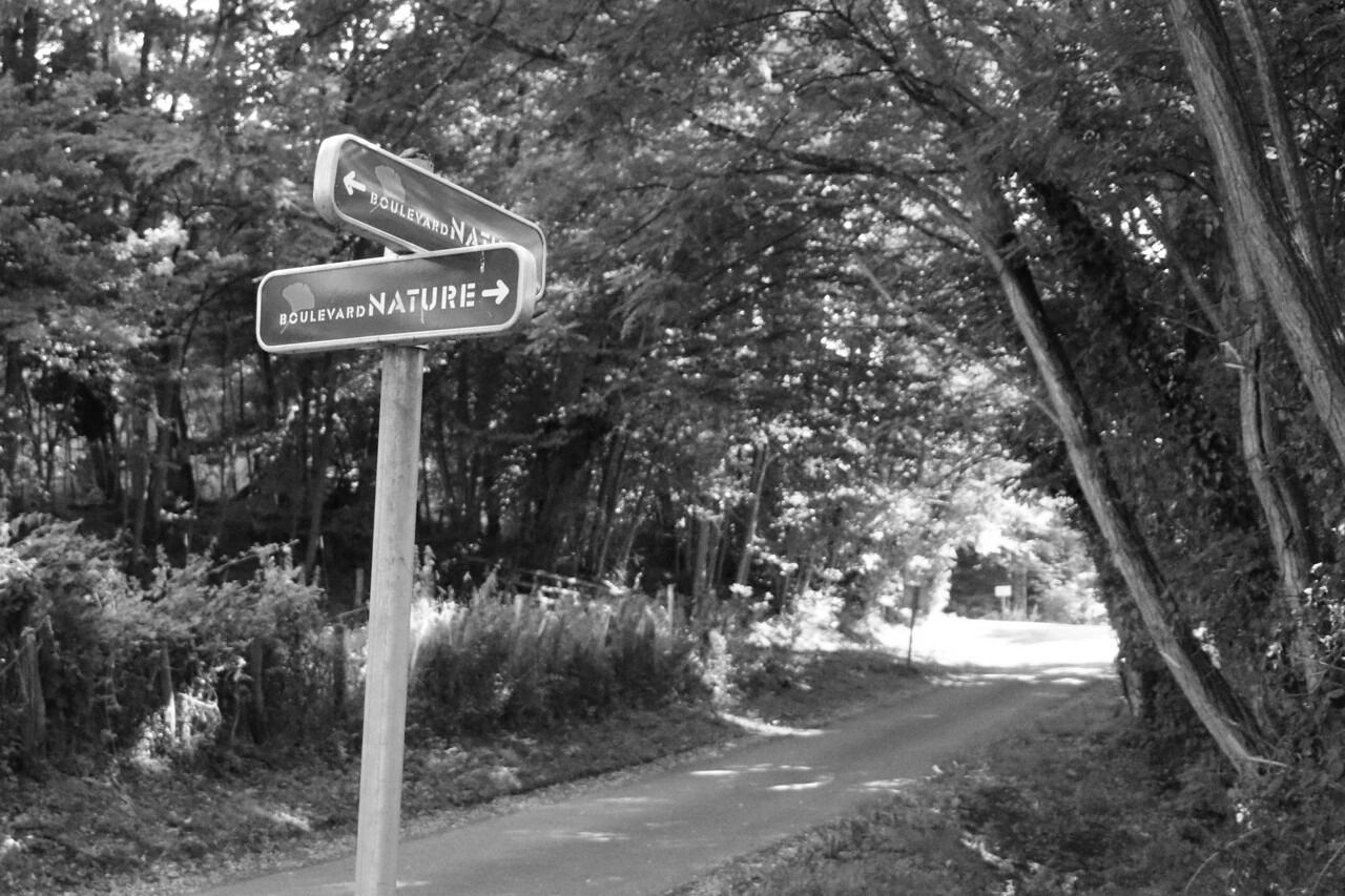 Piste du Boulevard Nature au Mans, grande boucle verte autour de l'agglomération mancelle dédiée aux mobilités douces et au running